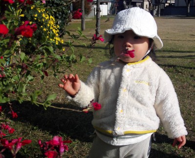 IMG_0029_edited