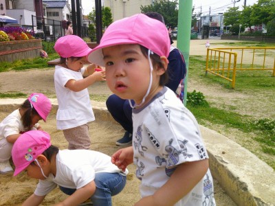 Digital Camera