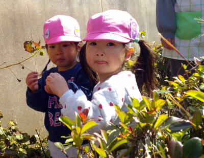 Digital Camera