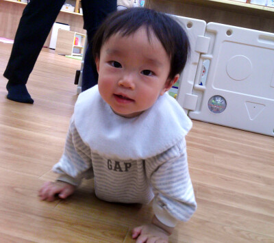 Digital Camera