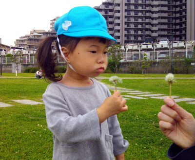 Digital Camera